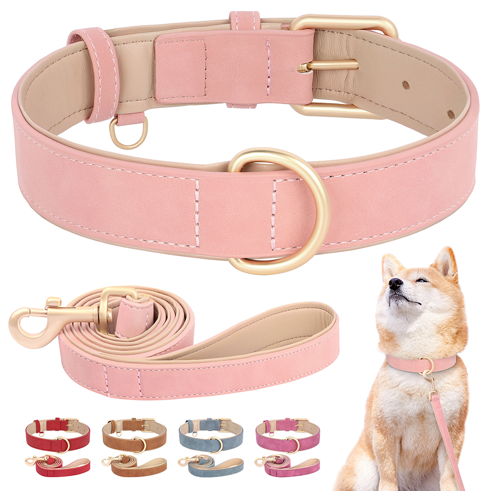Headcollar Rope Set - Soft Padded Dog Collar Leash Set