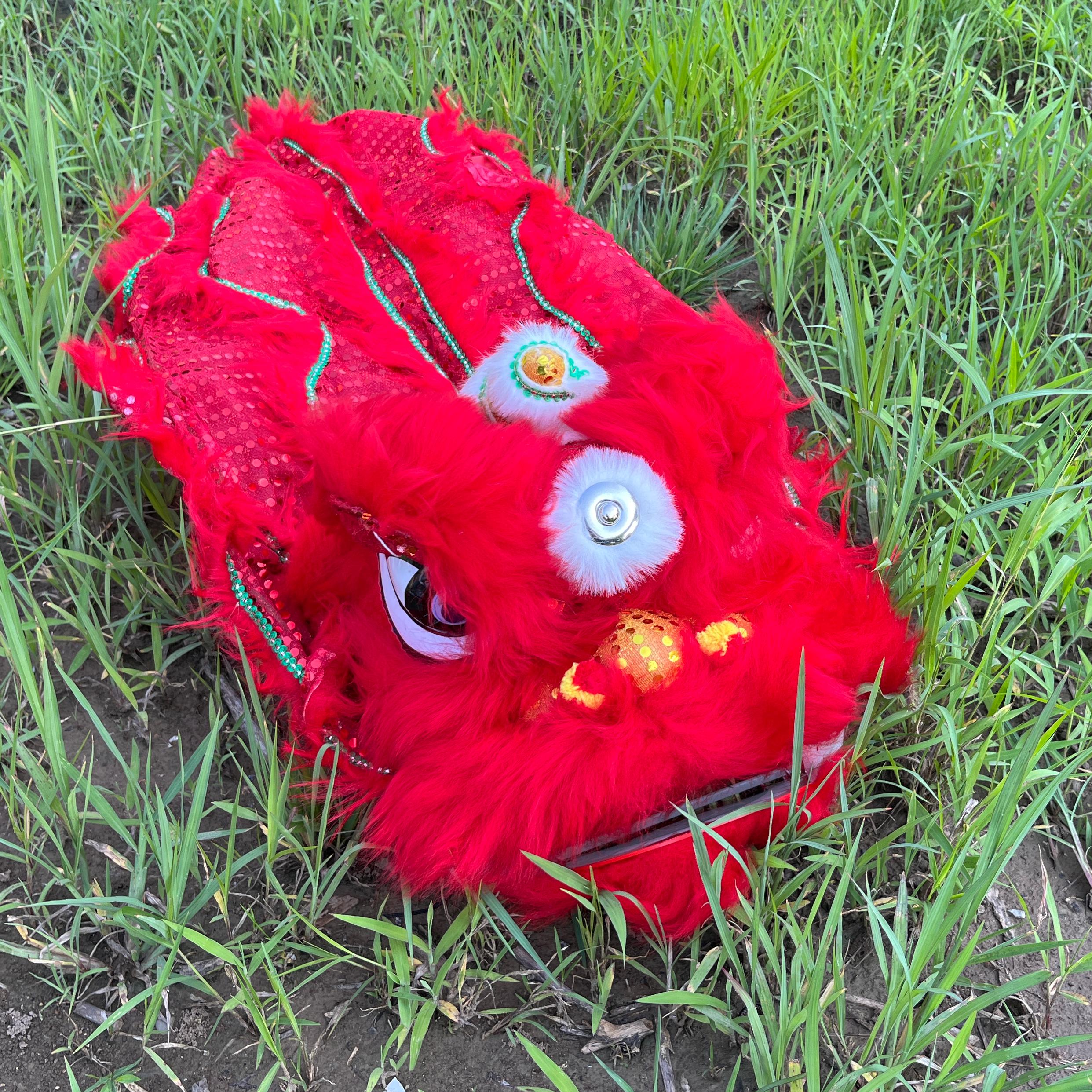Outdoor Sport Festival - 14 inch Lion Dance Costume Royal