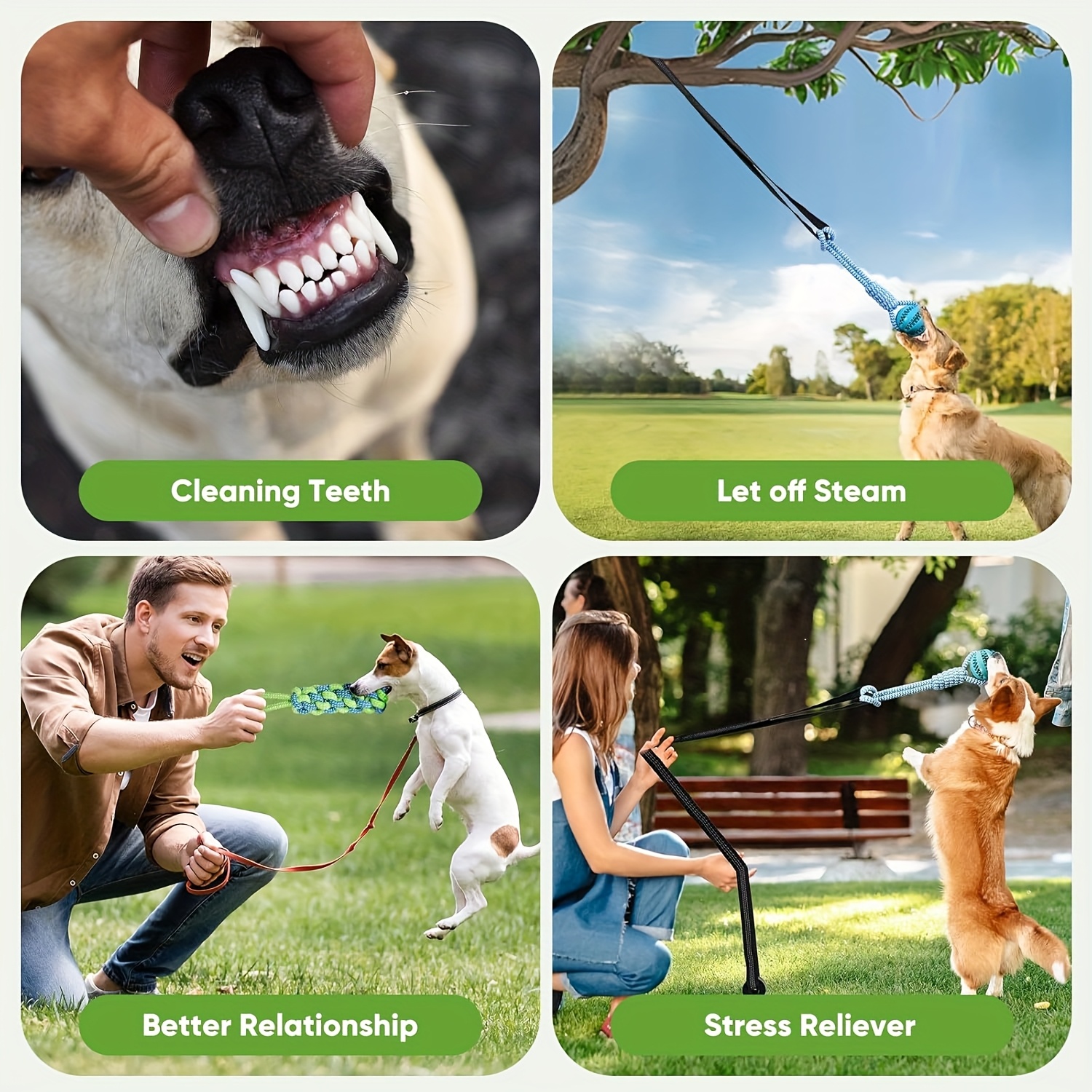 Dog Bungee Toy, Interactive Do - Headcollar Rope Set recensie en prijs