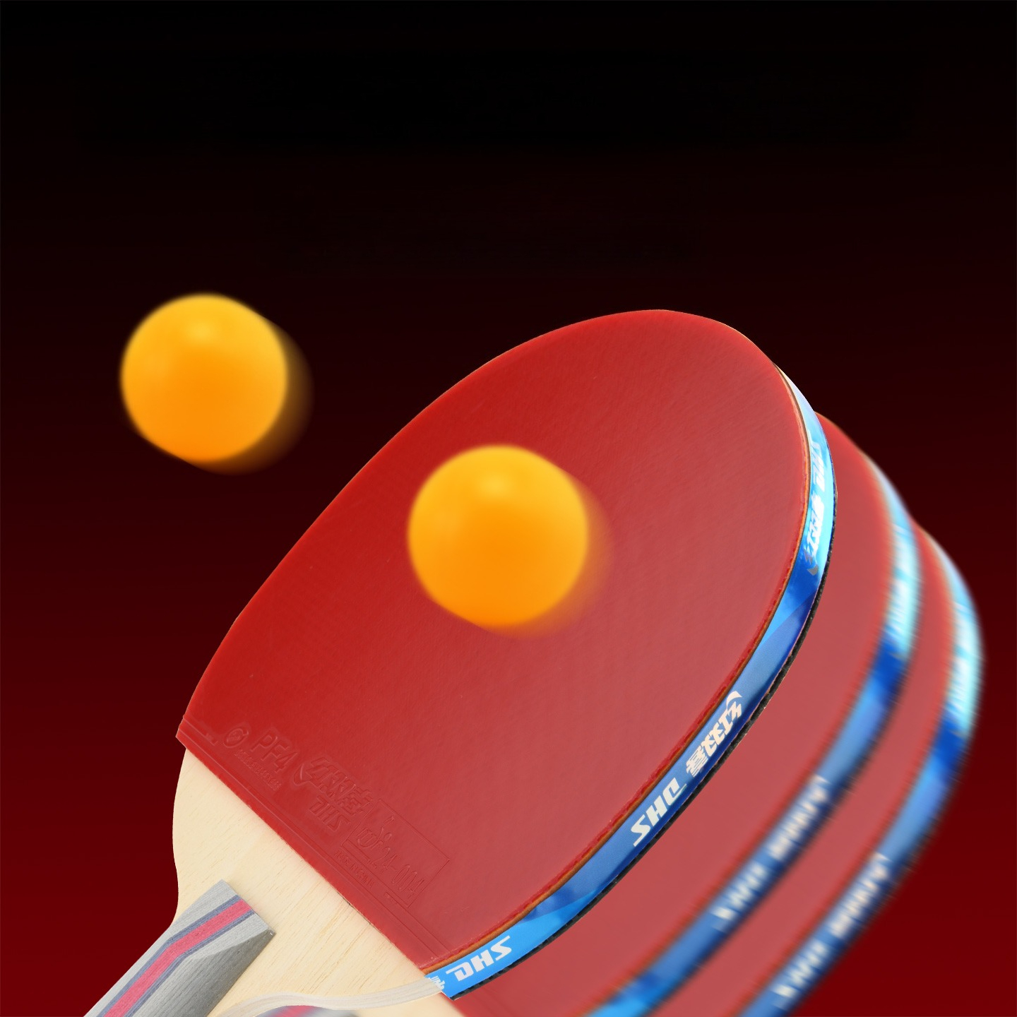 DHS Table Tennis Rackets with  - Outdoor Sports Center recensie en prijs