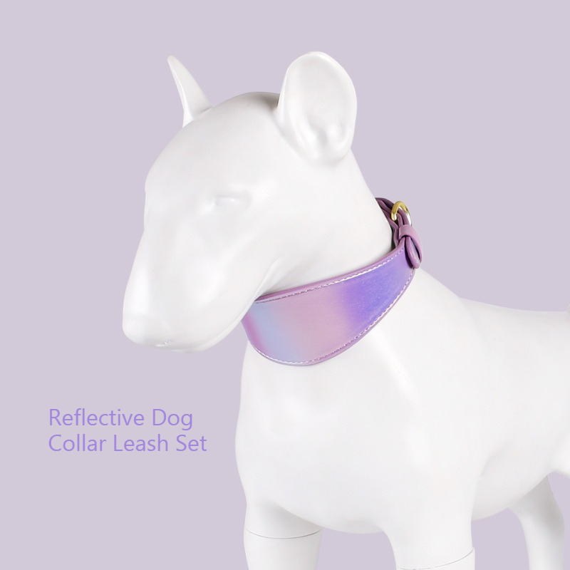 REFLECTIVE LEATHER DOG COLLAR  - Headcollar Rope Set recensie en prijs