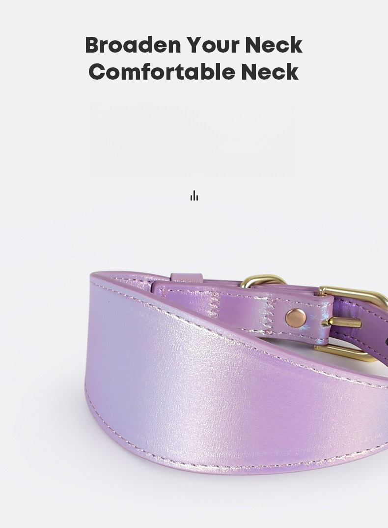 REFLECTIVE LEATHER DOG COLLAR  - Headcollar Rope Set recensie en prijs