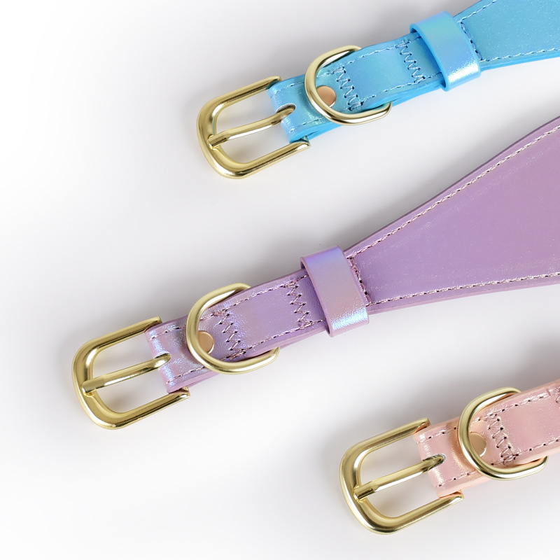 REFLECTIVE LEATHER DOG COLLAR  - Headcollar Rope Set recensie en prijs