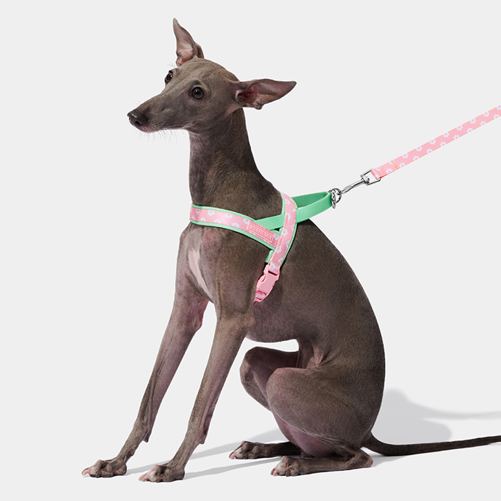 Luxury Pet Chest Strap Tractio - Headcollar Rope Set recensie en prijs