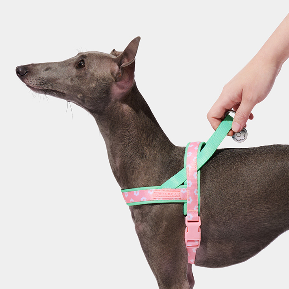 Luxury Pet Chest Strap Tractio - Headcollar Rope Set recensie en prijs