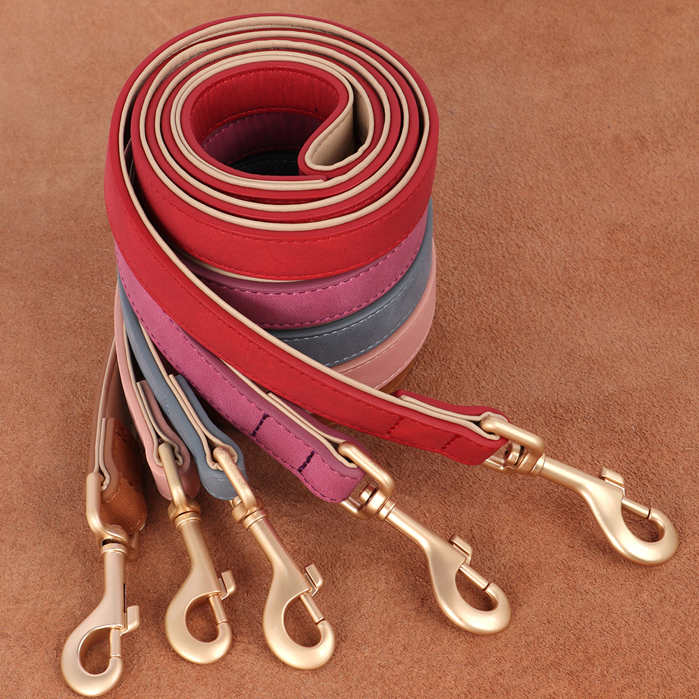 Soft Padded Dog Collar Leash S - Headcollar Rope Set recensie en prijs