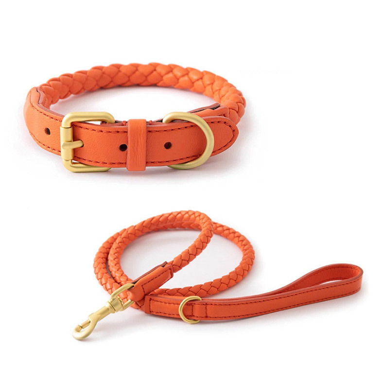 Adjustable Braided Leather Pet - Headcollar Rope Set recensie en prijs