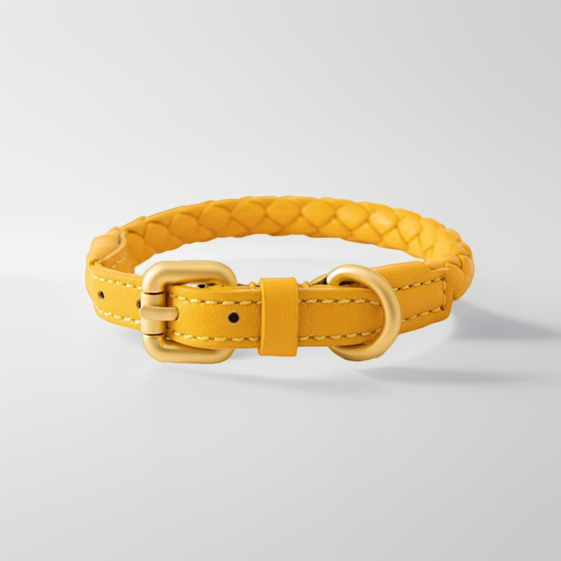 Adjustable Braided Leather Pet - Headcollar Rope Set recensie en prijs