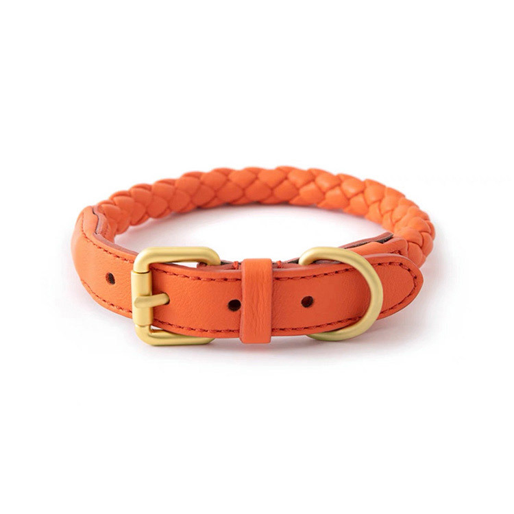 Adjustable Braided Leather Pet - Headcollar Rope Set recensie en prijs